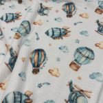 Coralina Air Transport - Image 3