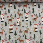 Coralina Christmas Santa