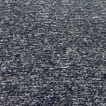 Fazenda Malha Lã - Riscada