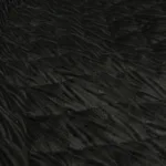 Acolchoado Veludo - Preto - Image 2