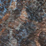 Acolchoado Gradini Leo - Bege - Image 4