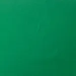 Loneta 2,80 mts Largura - Verde - Image 2
