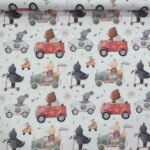 Coralina Cars Animals