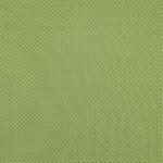 Popeline Pintas - Verde - Image 2