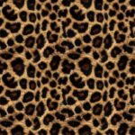 Lycra Estampada - Leo Bege Black