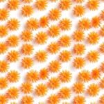 Lycra Estampada - Orange Puff