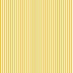 Lycra Riscas 6mm - Amarelo Torrado