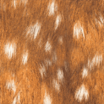 Lycra Estampada - Leo Bege