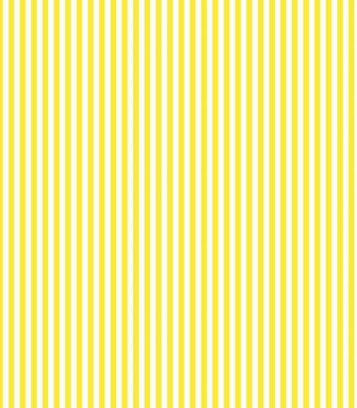 Lycra Riscas 6mm – Amarelo