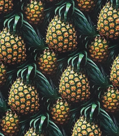 Atoalhado Ananás 3D