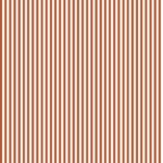 Lycra Riscas 6mm – Castanho Claro