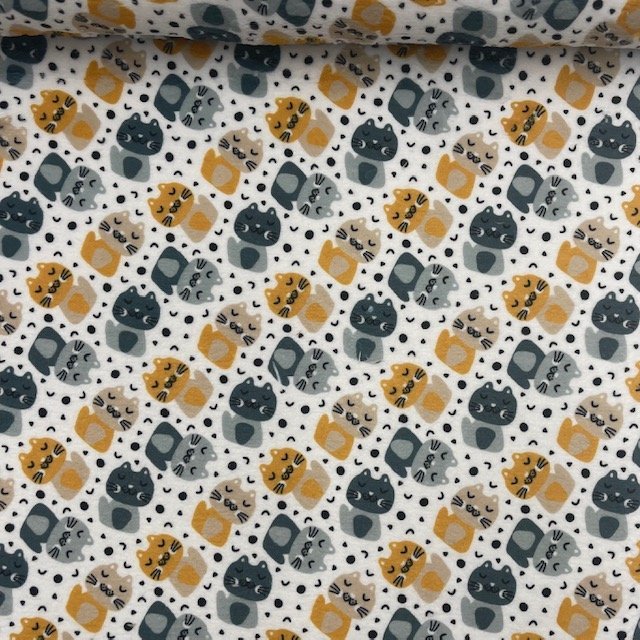 Coralina Cats