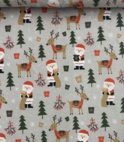 Coralina Christmas Santa