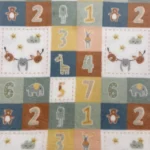 Coralina Numbers