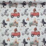 Coralina Cars Animals