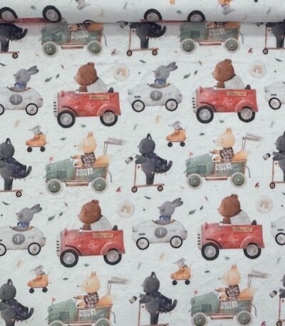 Coralina Cars Animals