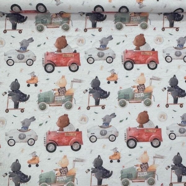 Coralina Cars Animals