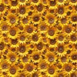 Lycra Estampada – Sunflowers