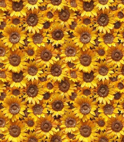 Lycra Estampada – Sunflowers