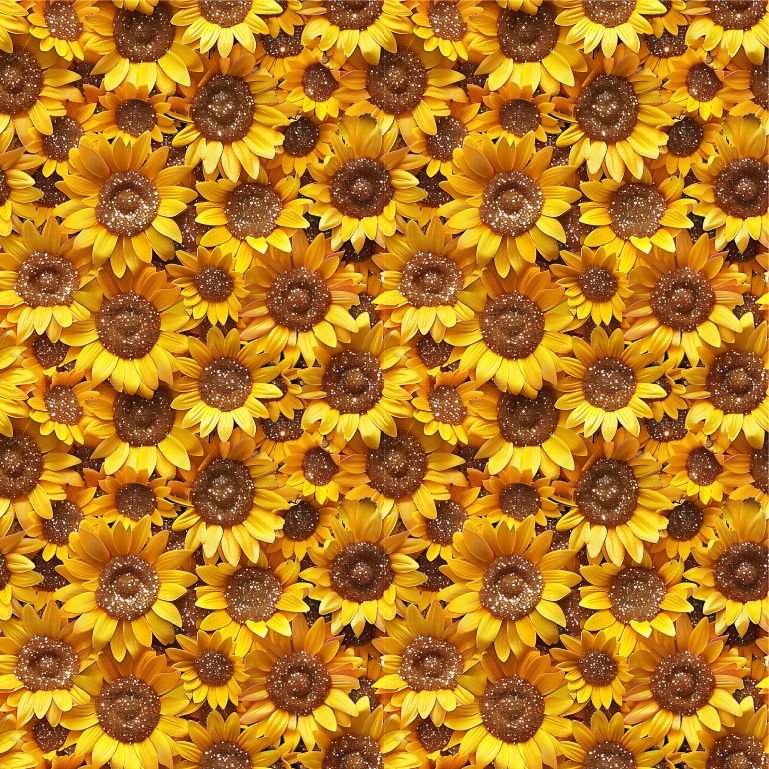 Lycra Estampada – Sunflowers