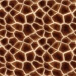 Lycra Reciclada Estampada Animal Print – Girafa
