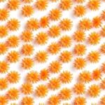 Lycra Estampada – Orange Puff