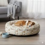 Popeline Animais Cão Lacy - Bege - Image 3