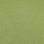 Popeline Pintas – Verde - imagem 2