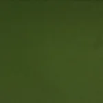 Seda Sablé – Verde Escuro - imagem 3