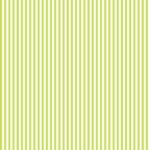 Lycra Riscas 6mm – Verde Claro