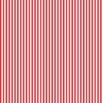 Lycra Riscas 6mm – Vermelho