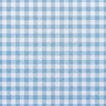 Tecido Nylon Impermeável Vichy 1,50 cm Azul Bebé e Branco - Image 2