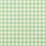 Tecido Nylon Impermeável Vichy 1,50 cm Verde Menta e Cru - Image 2