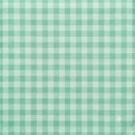 Tecido Nylon Impermeável Vichy 1,50 cm Verde Menta e Verde Claro - Image 2