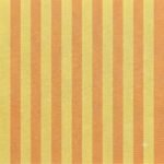 Tecido Nylon Impermeável Riscas 2cm Amarelo Claro e Laranja Claro - imagem 2
