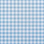Tecido Nylon Impermeável Vichy 1,50 cm Azul Bebé e Branco - imagem 2