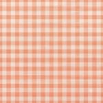 Tecido Nylon Impermeável Vichy 1,50 cm Salmão e Cru - imagem 2