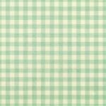 Tecido Nylon Impermeável Vichy 1,50 cm Verde Menta e Cru - imagem 2