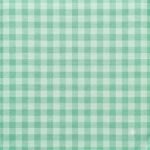 Tecido Nylon Impermeável Vichy 1,50 cm Verde Menta e Verde Claro - imagem 2