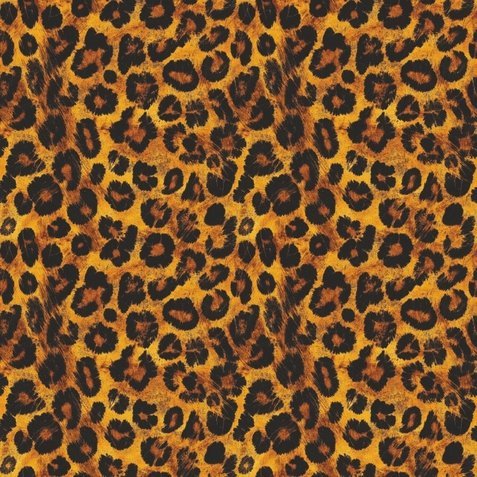 Lycra Estampada Animal Print – Leopardo