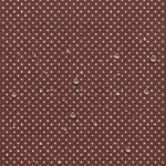 Nylon Impermeável Pintas - Castanho