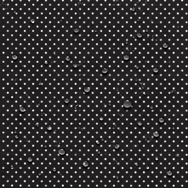 Nylon Impermeável Pintas - Preto