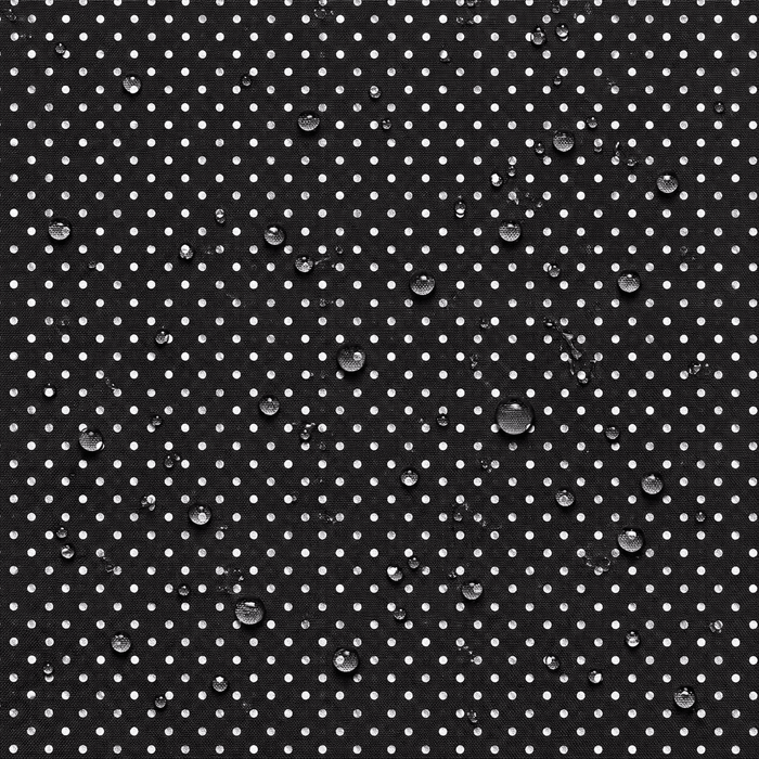Nylon Impermeável Pintas - Preto Nylon Impermeável Pintas - Preto