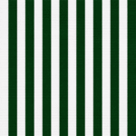 Policanvas Riscas 2cm Verde e Branco